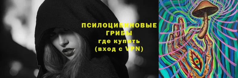 Псилоцибиновые грибы мухоморы  Новое Девяткино 